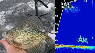 Hunting Big Crappie!