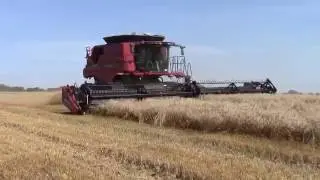 Case IH 9230 Tracked Combine Harvesting Wheat