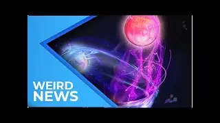 The 10 Strangest Science Stories of 2016 | Weird News 2018