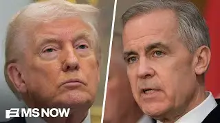 'We are your best customer': Fmr. Deputy PM on U.S.-Canada relations amid Trump tensions