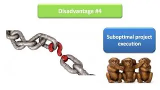 PM #12 Functional PM organization: Disadvantages