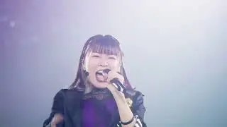 Perfect Shu Returns