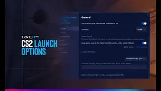 Лучшие настройки запуска для CS2