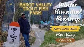 Trout Fish, ka Palan in Himachal, Fish farming, World famous, Barot Valley Vlog