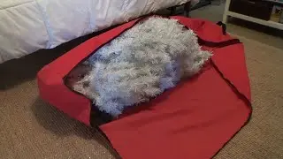 CHRISTMAS TREE STORAGE BAG 7.5 FOOT ARTIFICIAL CHRISTMAS TREE BAG CUSTOMER REVIEW AND CLOSE UP LOOK