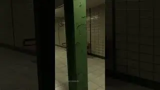 Late-Night Spider Encounter: This Commute Just Got Creepy!