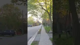 #canada #ontario #richmondhill #toronto #street #streetview #walking