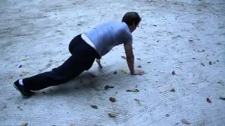 Cat Crawls - Fifth Ape