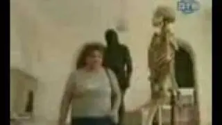 scheletro al museo