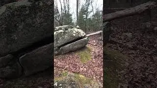Stone Frog Just Chilling #frog #stonefrog #stone #rocks #funny #aesthetic #liminalspace #vaporwave