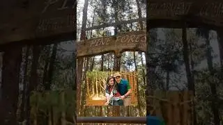 Bollywood shooting location in ooty #ranbirkapoor #aamirkhan #Pineforest #ooty #placestovisitinooty