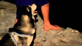 The Animal Lulla Break 006