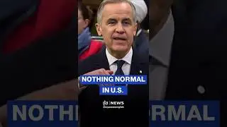 &ldquo;There's almost nothing normal in the United States now,&rdquo; says Carney