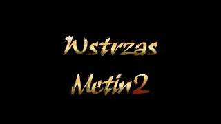 Metin2.pl Meley Gildyjna Woj Body Solo