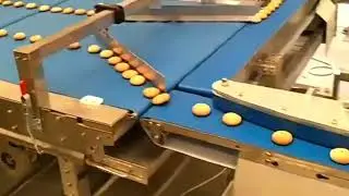 Bread Packing Packaging Machine with Automated Arranging System