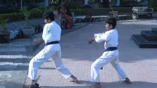 Ska India