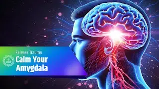 Calm Your Amygdala - Release Trauma, Dissolve Fear and Relieve Stress - 528 Hz