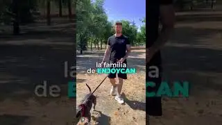 5 cosas que tu perro hace y NO son normales (La #4 te sorprender&aacute;) 😱