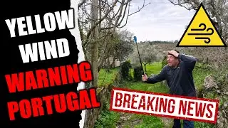 Yellow WIND WARNING Portugal