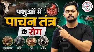 Diseases Caused Due To Digestive System In Animals | By Mradul Sir | #tgt #pgt #cuet #icar