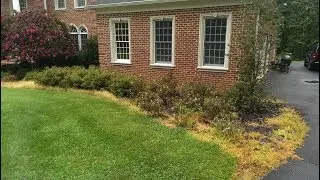 TOTAL Landscape Renovation: Kane Week 11 PT 1