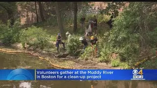 Volunteers Gather To Clean Up Trash In Boston's Muddy River