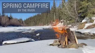 Tranquil Spring River Campfire Relaxation, Study, Meditation with Crackling Fire & River Sounds 4K
