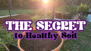 Compost, Seed Starting, & Cleanup! 🍂 October Gardening
