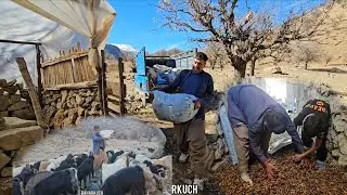 Hard Life of Nomadic Shepherds in the Zagros Mountains | Traditional Livestock Farming in Iran