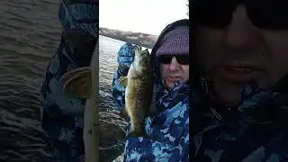 Bouys and Bass Nw Wisconsin #smallmouthbassfishing