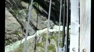 Triftbrücke und Windegghütte   /// 25. Juli 2014