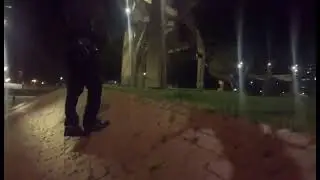 American pitbull training jump