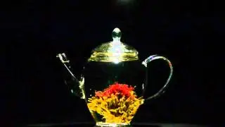 Brew Red Blossom Flower Tea by Teavivre