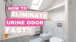 Eliminate Urine Odor Fast (and cheaply!)