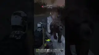Меч в камне прикинь сделали... #UmCoPVE #dayz #пэнипрэц