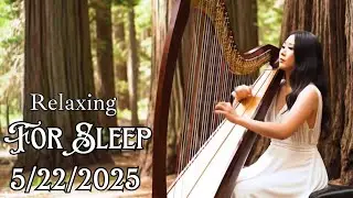 The Best Harp Relaxing Music Harp 1 Hour of Harp Music - Calming Loop