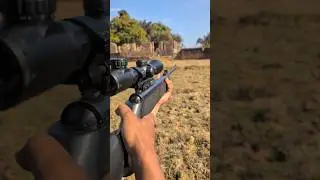 aarmr Airgun hunting🔥#airgunshooting #shooter #shorts #youtubeshorts