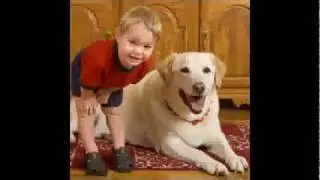 Carpet Cleaning Denver | Denver Carpet Cleaning Coupons Up To 50% OFF!