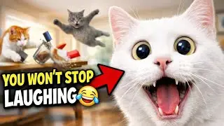 Motu the Cat🤣The Funniest Cat Chaos Story Ever 😹 | Hilarious Animated Cat Story #unitedstates