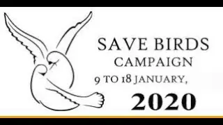 Uttarayan Special 2020 | SAVE BIRDS | Uttarayan 2020.