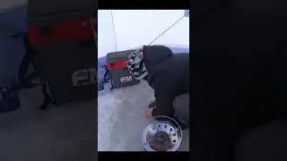 Лещ на мормышку #fishing #рыбалкавидео #рыбалка