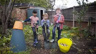Three top tips on gardening for food | Campaign for School Gardening | Royal Horticultural Society