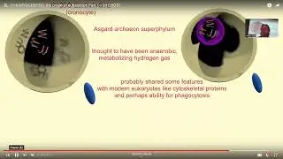 EUKARYOGENESIS: evolution of eukaryotes