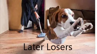 What Happens when Animals see you cleaning VS. Brothers!!!!
