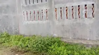 Tempat MBG di KALISARI