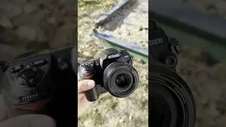 Best CCD camera ever made! | Film like photos with D200 #ccd #photographyhacks