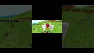 racist fences in Minecraft?? #minecraft #memes #gaming