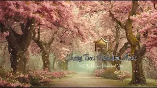 Cherry Blossom Meditation Music (432Hz) | 40 Minutes | Petal Rain Serenity