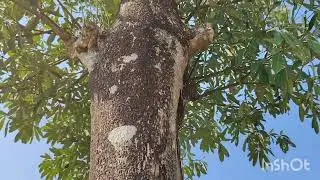 পুরুষের যৌন ক্ষমতা বৃদ্ধির উপায় 