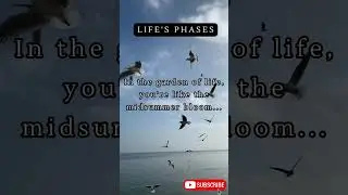 Blossom of Wisdom: Flourishing in Life's Garden #life #transformation #shorts